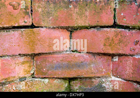 cracks appearing in cement of red brick retaining wall Stock Photo