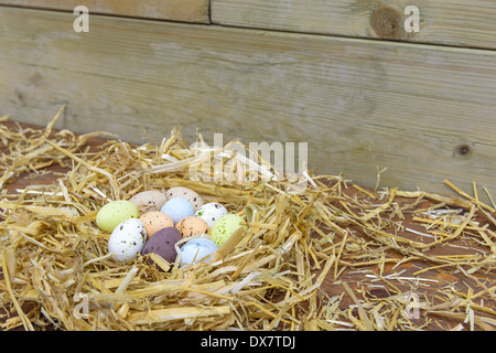 Candy coated chocolate Easter eggs in a straw nest Stock Photo