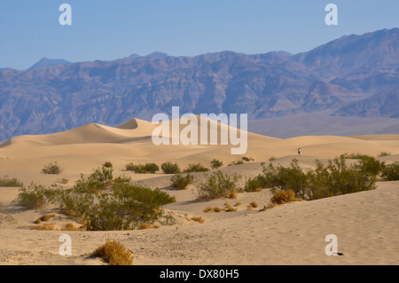 Dunes in the Death Valley; California; USA Stock Photo