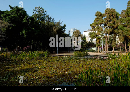 View of Gan Meir Park named after the first mayor of Tel Aviv, Meir Stock Photo: 48271246 - Alamy View of Gan Meir Park named after the first mayor of Tel Aviv, Meir Stock Photo: 48271246 - Alamy