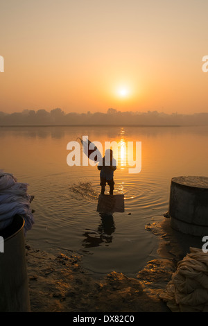 india, Uttar Pradesh, Agra, dhobi-wallahs washing clothes in Yamuna river at sunrise Stock Photo