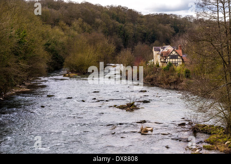 Houses and woodland on the banks of the River Teme in Ludlow, an ancient market town in Shropshire, England Stock Photo