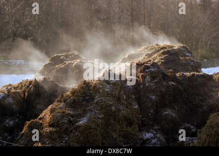 Steaming compost heap Stock Photo