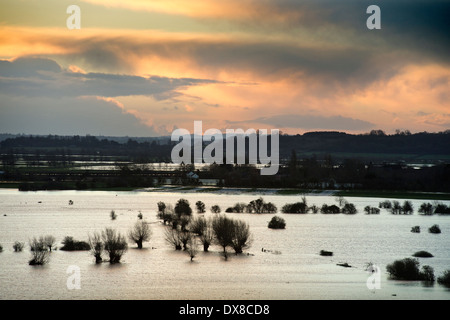 Dawn breaks over the flooded fields of the Somerset Levels near Burrowbridge UK Feb 2014 Stock Photo