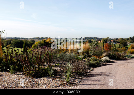 THE DRY GARDEN AT RHS HYDE HALL IN AUTUMN. ESSEX UK. Stock Photo