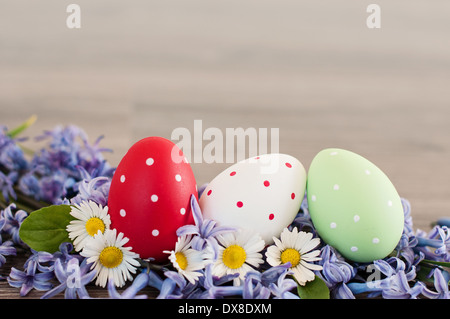 Two pola-dot Easter eggs in a nest of flowers Stock Photo