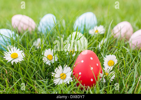 Red Easter egg in a nest of grass and spring flowers Stock Photo