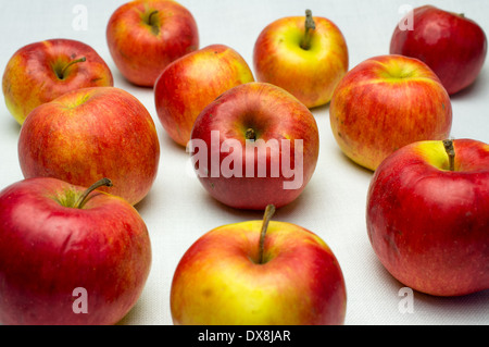 Farmers apples on a white background. Organic food Stock Photo