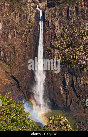 WALLAMAN FALLS, QUEENSLAND, AUSTRALIA, AUSTRALIA’S HIGHEST SHEER SINGLE DROP WATERFALL, Stock Photo