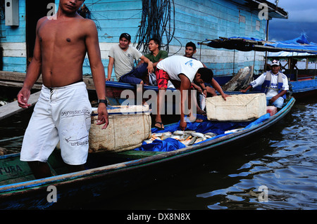 Selling fish - Harbour in TABATINGA. State of Amazonas .BRAZIL Stock Photo