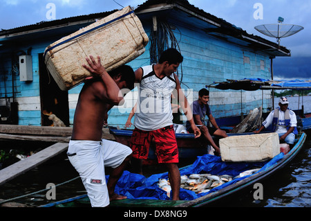 Selling fish - Harbour in TABATINGA. State of Amazonas .BRAZIL Stock Photo