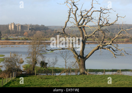 Arundel Castle and town from across the River Arun, Sussex, GB. Stock Photo