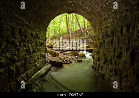 The entrance of a lovely stone block culvert looking out into a lush forest in, Hamilton, Ontario, Canada. Stock Photo
