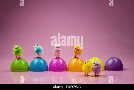 Six Plastic Easter Egg shells on a glossy pink background. cute colorful Easter design with six colorful toy chicks for Easter Stock Photo