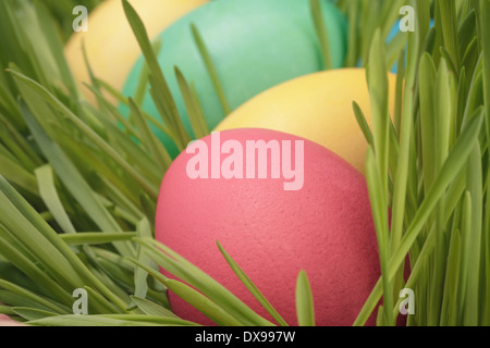 easter eggs hidden in grass close up photo, vintage toned Stock Photo