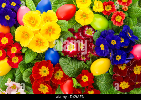 assorted primula flowers with colorful easter eggs decoration Stock Photo