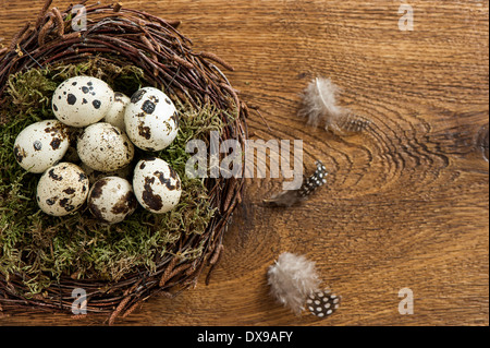 birds eggs in nest on rustic wooden background Stock Photo