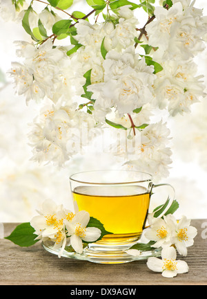 cup of tea with jasmine flowers over nature blurred background Stock Photo