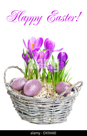 beautifil spring flowers crocus in basket with easter eggs decoration on white background with sample text. card concept Stock Photo