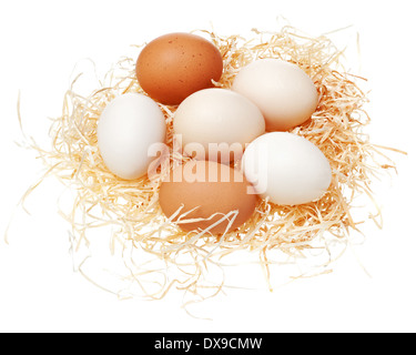 eggs in a straw nest isolated white background Stock Photo - Alamy