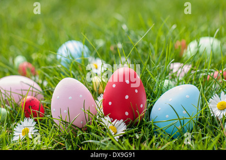 Different color Easter egg on a grass Stock Photo