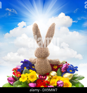easter bunny with eggs and flowers on sunny blue sky background Stock Photo