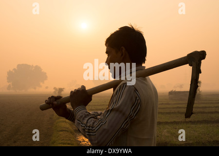 India, Uttar Pradesh, Agra, farmer posing with hoe next to fields at sunrise Stock Photo