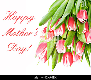 Bouquet of resh spring tulip flowers isolated on white background Stock ...