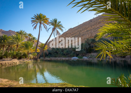 Natural pool in Wadi Bani Khalid, Sultanate Oman, one of the most popular touristic places in country. Stock Photo