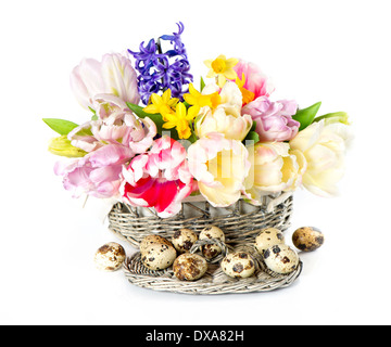 tulips, narcissus and hyacinth and eggs. colorful spring flowers in basket Stock Photo