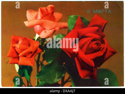 USSR - CIRCA 1989: Postcard printed in the USSR shows draw by Krycko - Red Roses, circa 1989 Stock Photo