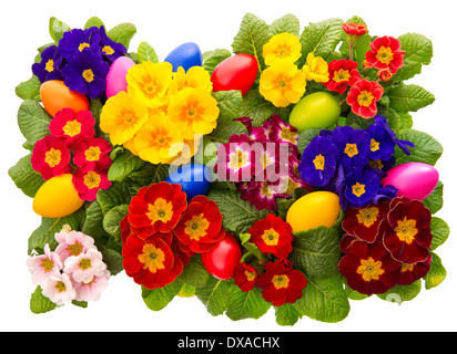 assorted primula flowers with easter eggs decoration isolated Stock Photo