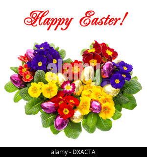 assorted primula flowers with easter eggs decoration isolated on white background Stock Photo