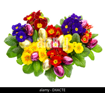 colorful primula flowers with easter eggs decoration isolated on white background Stock Photo