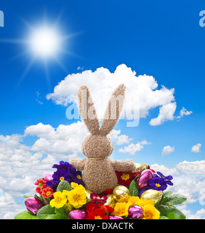 easter bunny with shiny eggs and colorful fresh spring primula flowers on sunny blue sky background Stock Photo