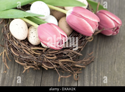 birds eggs in nest with tulip flowers on vintage wooden background Stock Photo