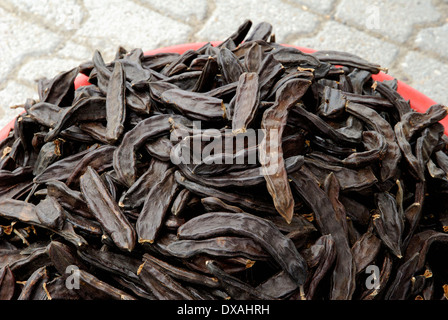 Carob Tree, Locust Tree Stock Photo