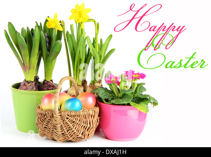 colorful spring flowers. happy easter Stock Photo