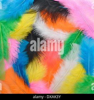 Colorful Feathers Close Up For Background Stock Photo