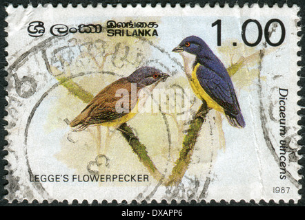 SRI LANKA - CIRCA 1987: a stamp printed in Sri Lanka shows legge's ...