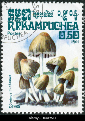 KAMPUCHEA - CIRCA 1985: Postage stamp printed in Kampuchea, shows a mushroom Coprinus micaceus, circa 1985 Stock Photo