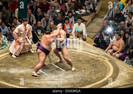Sumo wrestlers fighting in the wrestling ring at 2013 September Grand Sumo Tournament at the Ryogoku Kokugikan, Tokyo, Japan Stock Photo