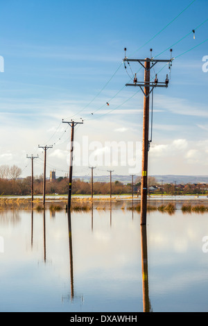 Telegraph poles in a flooded landscape Stock Photo