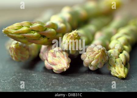 Fresh green asparagus stalks with focus on tips, on black slate against neutral background,, UK Stock Photo