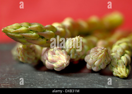 Fresh green asparagus stalks with focus on tip,  on slate against red, contemporary background, UK Stock Photo