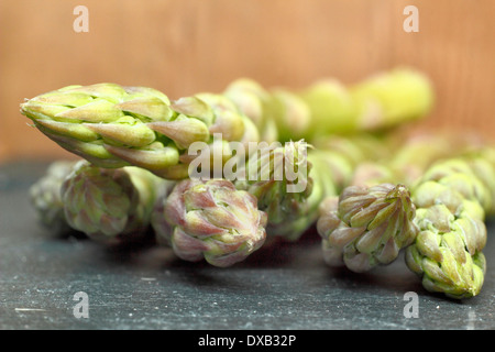 Fresh green asparagus tips on slate against rustic wooden background in English country  kitchen, UK Stock Photo