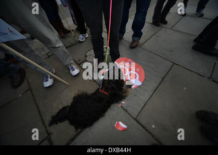 London England, 22th March 2014 : Thousands of protesters from all nationality United we  Stand up to racism and fascism at Parliament Yard in London. Photo by See Li/ Alamy Live News Stock Photo