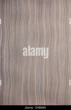 ebony wood texture, tree background Stock Photo