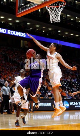 March 22, 2014 - Knoxville, TN, USA - Tennessee Lady Volunteers forward Cierra Burdick (11) tries to block the shot of Northwestern State Lady Demons guard Jasmine Bradley (24) in the first half of an NCAA college basketball game Saturday, March 22, 2014, in Knoxville, Tenn. (Cal Sport Media/Wade Payne) Stock Photo