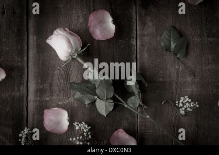 Desaturated arrangement of pink roses and baby's breath on rustic wood shot from above Stock Photo